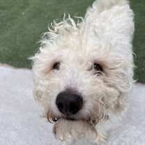 Thumbnail photo of Casper #2