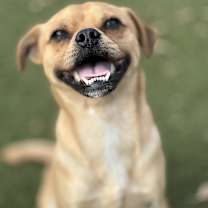 Thumbnail photo of Basil #1