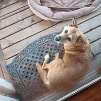 Thumbnail photo of Tyche #3