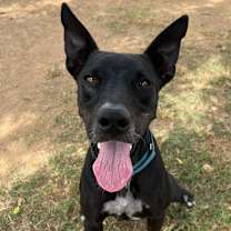 Thumbnail photo of Max #2