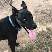 Thumbnail photo of Max #3