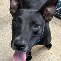 Thumbnail photo of Max #4