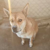 Thumbnail photo of Akira #2