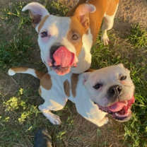 Thumbnail photo of Nelly #3