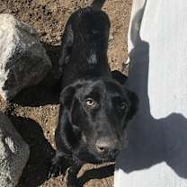 Thumbnail photo of GRACE ^ KATIE #3