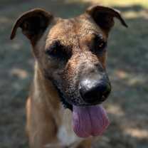 Thumbnail photo of Busta Rhymes (River) #3