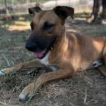 Thumbnail photo of Busta Rhymes (River) #4