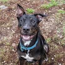 Thumbnail photo of Elmer #1