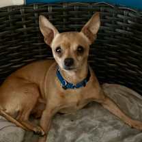 Thumbnail photo of Quigley #1