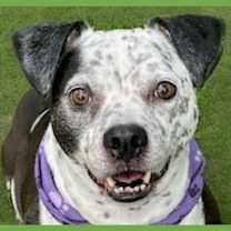 Thumbnail photo of Coco #1