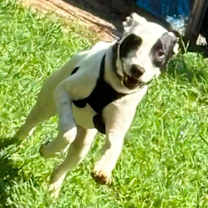 Thumbnail photo of Spot #2