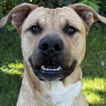 Thumbnail photo of Quicksand #1