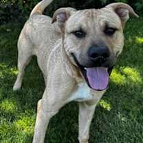 Thumbnail photo of Quicksand #2