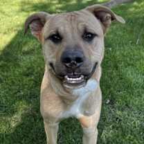 Thumbnail photo of Quicksand #3