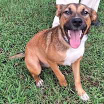 Thumbnail photo of 251205  Chain #1