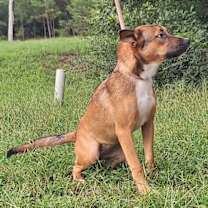 Thumbnail photo of 251205  Chain #2