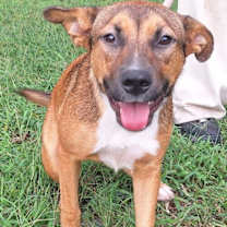 Thumbnail photo of 251205  Chain #3