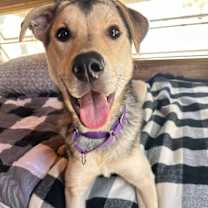 Thumbnail photo of Nikolai #3