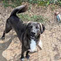 Thumbnail photo of Leonardo #4