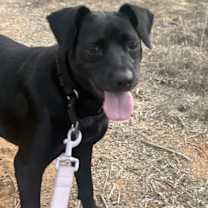 Thumbnail photo of Nemo #3