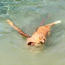 Thumbnail photo of Juneau #3