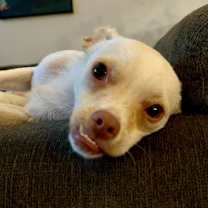 Thumbnail photo of Krackers #3