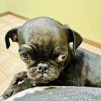 Thumbnail photo of Sammy #3