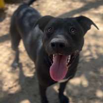 Thumbnail photo of Victor #1