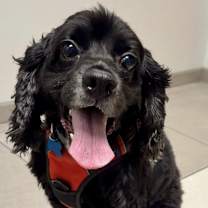 Thumbnail photo of Mykah #3