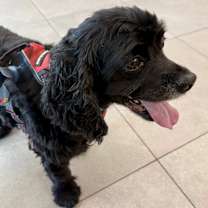 Thumbnail photo of Mykah #4