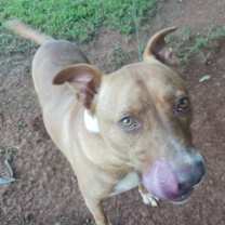 Thumbnail photo of Chance #3