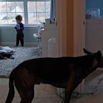 Thumbnail photo of Odin #2