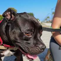 Thumbnail photo of Elliot #4