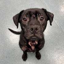 Thumbnail photo of Techno #2