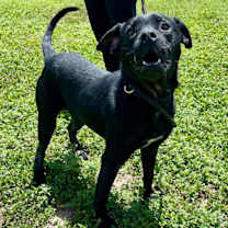 Thumbnail photo of Techno #3