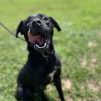 Thumbnail photo of Techno #4