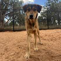 Thumbnail photo of Forest #3