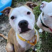 Thumbnail photo of Maxine #1