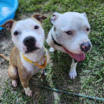 Thumbnail photo of Maxine #4