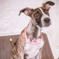 Thumbnail photo of Jingle #3