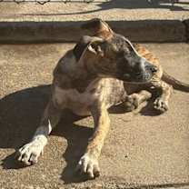 Thumbnail photo of Jingle #3