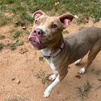 Thumbnail photo of Syndra #4