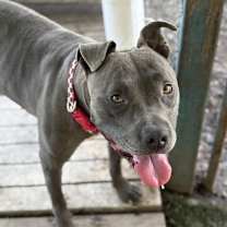 Thumbnail photo of Jeremiah #1