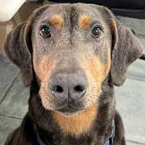 Thumbnail photo of Jasper 3414 #1