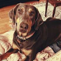 Thumbnail photo of Jasper 3414 #3