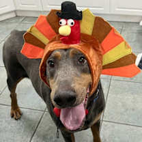 Thumbnail photo of Jasper 3414 #4