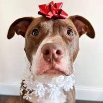 Thumbnail photo of Axel #4