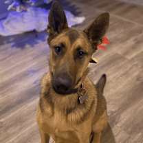 Thumbnail photo of Maddie AKA Madison #1