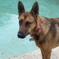 Thumbnail photo of Maddie AKA Madison #3