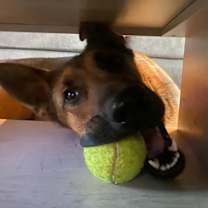 Thumbnail photo of Maddie AKA Madison #4